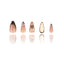 3D - Wild Bloom - Medium Almond