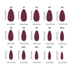 Chrome - Cocoa Glazed - Medium Almond